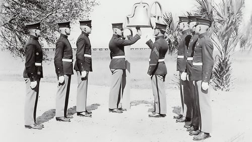 Why We Ring the Bell at SteerBridge