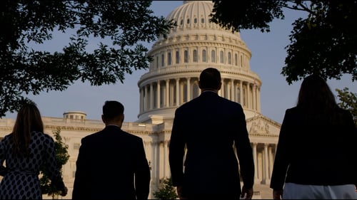 Capitalize on Opportunities